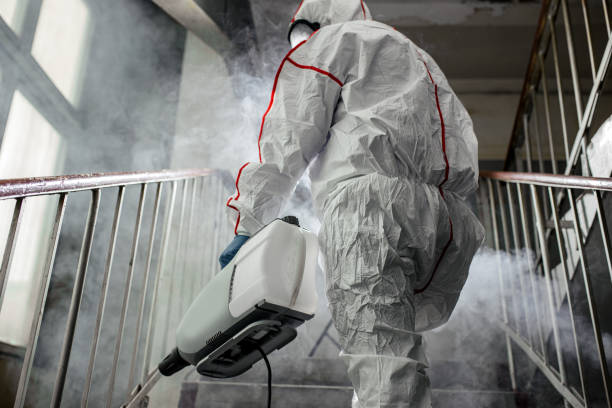 Dehumidification Services in Notasulga, AL